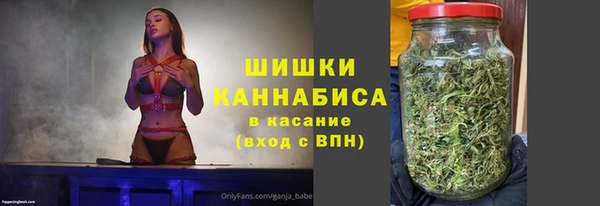mdpv Богородицк
