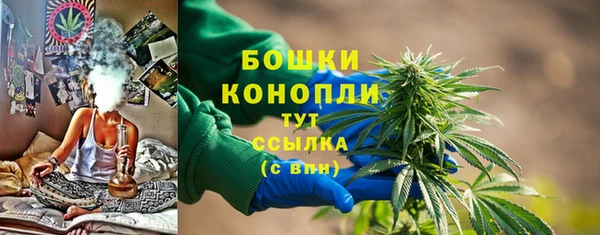 mdpv Богородицк