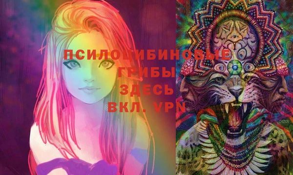 марки nbome Богданович