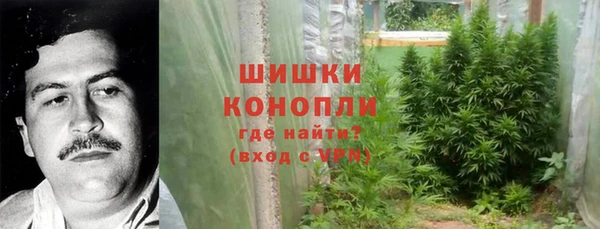 марки nbome Богданович