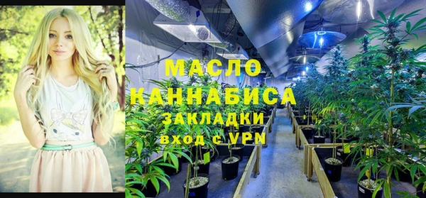 mdpv Богородицк