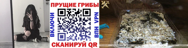 наркошоп  Цоци-Юрт  Галлюциногенные грибы Magic Shrooms 